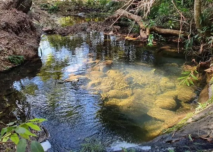 Casa Girassol-Trilha Das Flores-Serra Da Canastra
