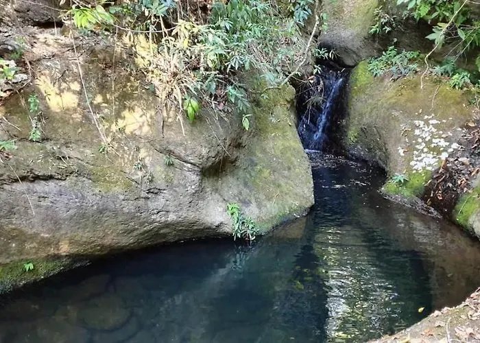 Casa Girassol-Trilha Das Flores-Serra Da Canastra