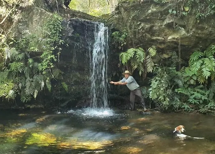 Casa Girassol-Trilha Das Flores-Serra Da Canastra