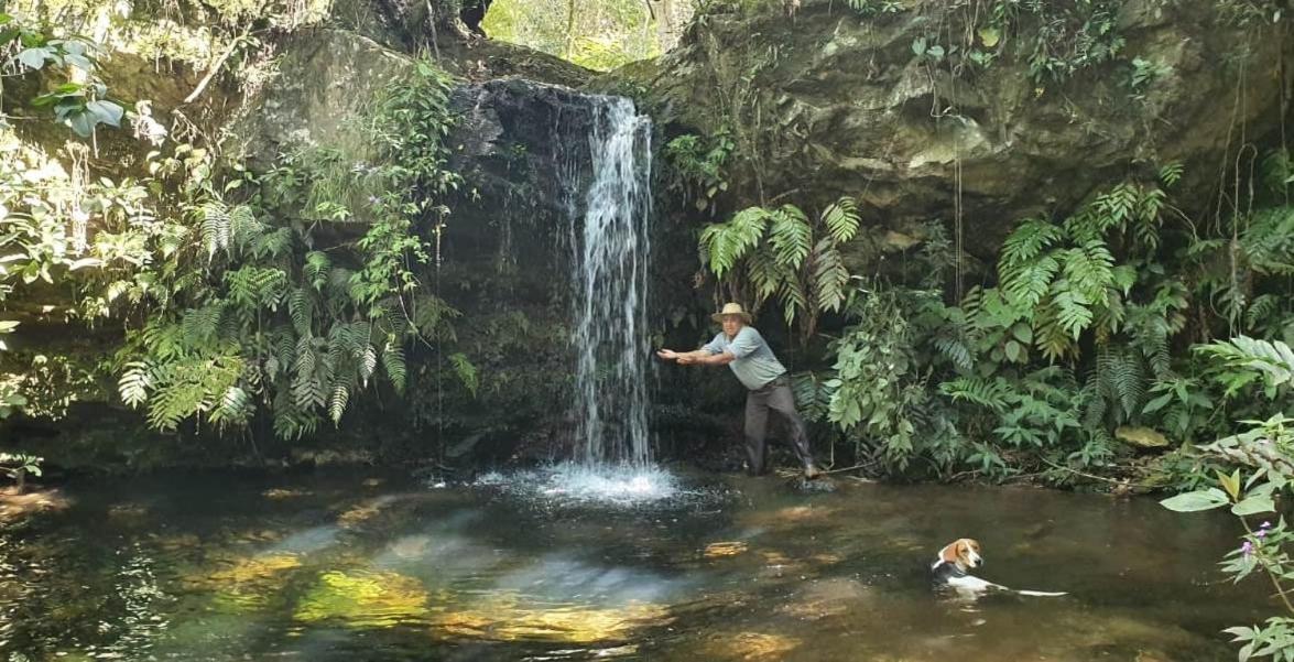 Casa Girassol-trilha Flores-serra Da Canastra * Sao Roque de Minas