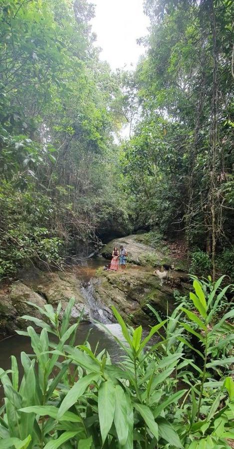 Casa Girassol-trilha Flores-serra Da Canastra * Sao Roque de Minas